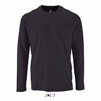 02074381XL